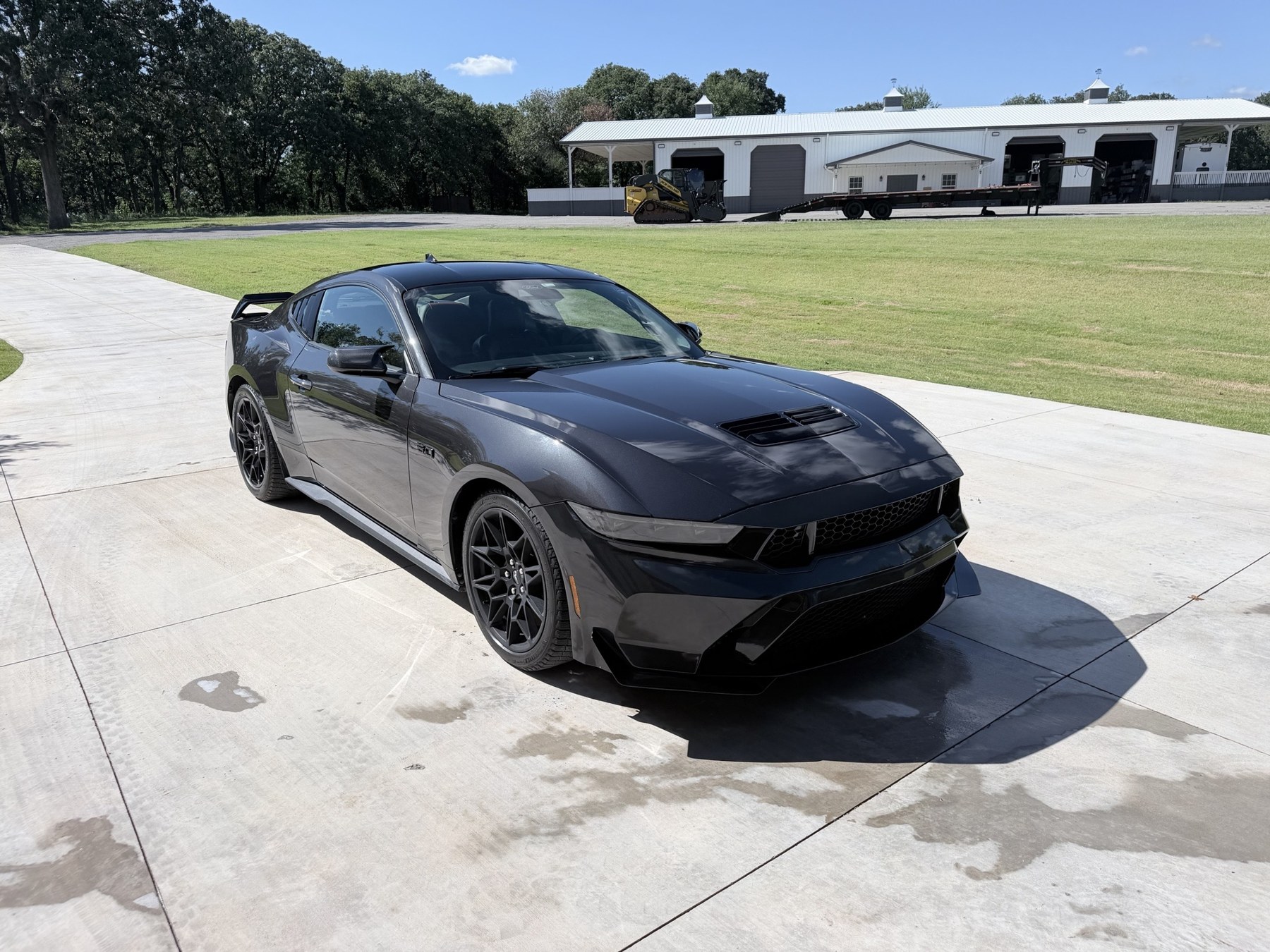 Dark Mustang